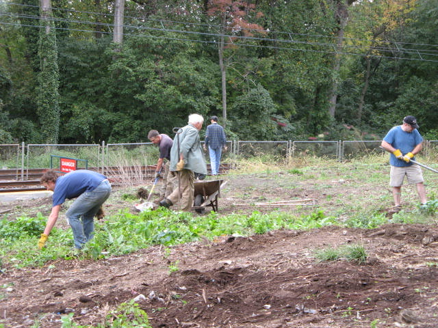 Neighbors working in garden